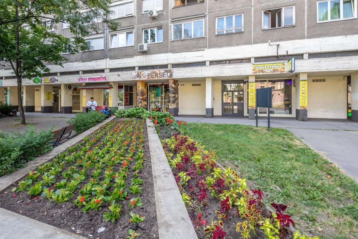 Cozy Quiet Apartment With A Balcony Budapeşte Dış mekan fotoğraf